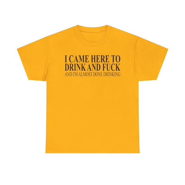 I Came Here To Drink And Fuck And I'm Almost Done Drinking Unisex t-shirt