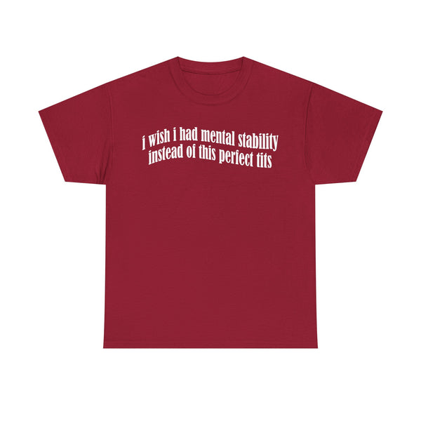 I Wish I Had Mental Stability Instead Of This Huge Tits Unisex t-shirt