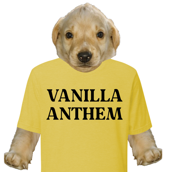 Vanilla Anthem Shop